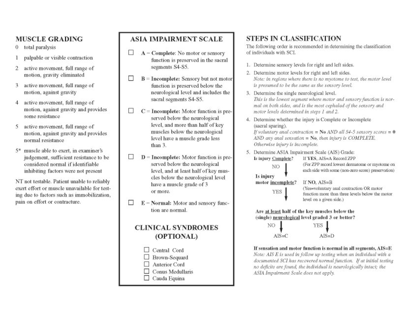 Asia Spinal Cord Injury Chart