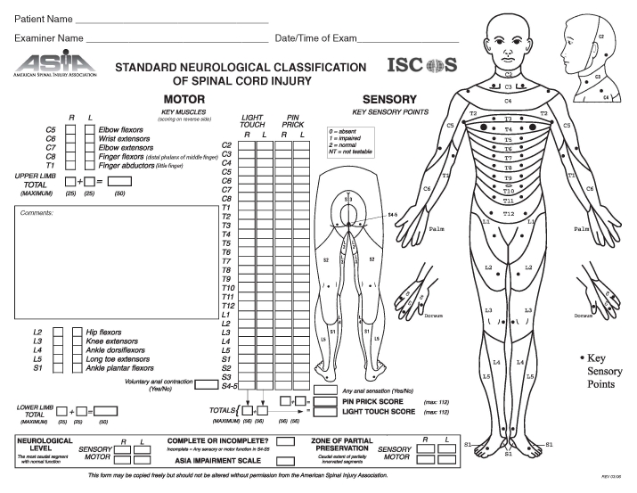 Asia Neurological Chart