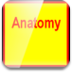anatomy-icon