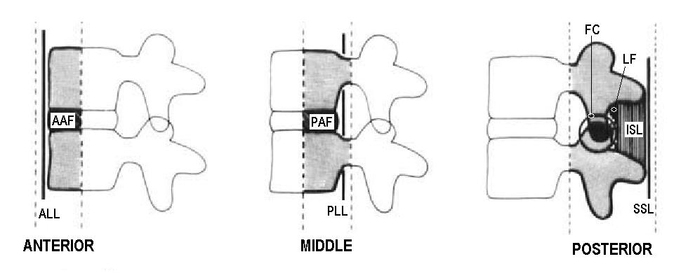 Denis' Three-Column Theory